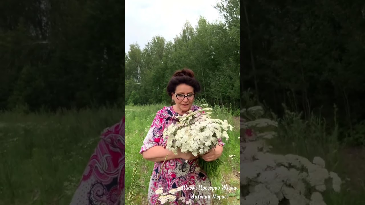 Как убрать камни в почках?