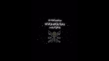 آيات من نور.. مع مؤثرات تخطف الروح إلى السماء"