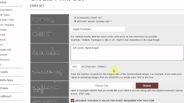 Selling Single Image Low-Res Downloads - Instaproofs, Inc.
