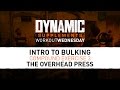 Dynamic Supplements: Workout Wednesday - Intro To Bulking 4 - The Overhead Press