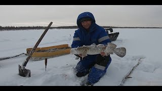 Весенняя рыбалка на льду реки Косью