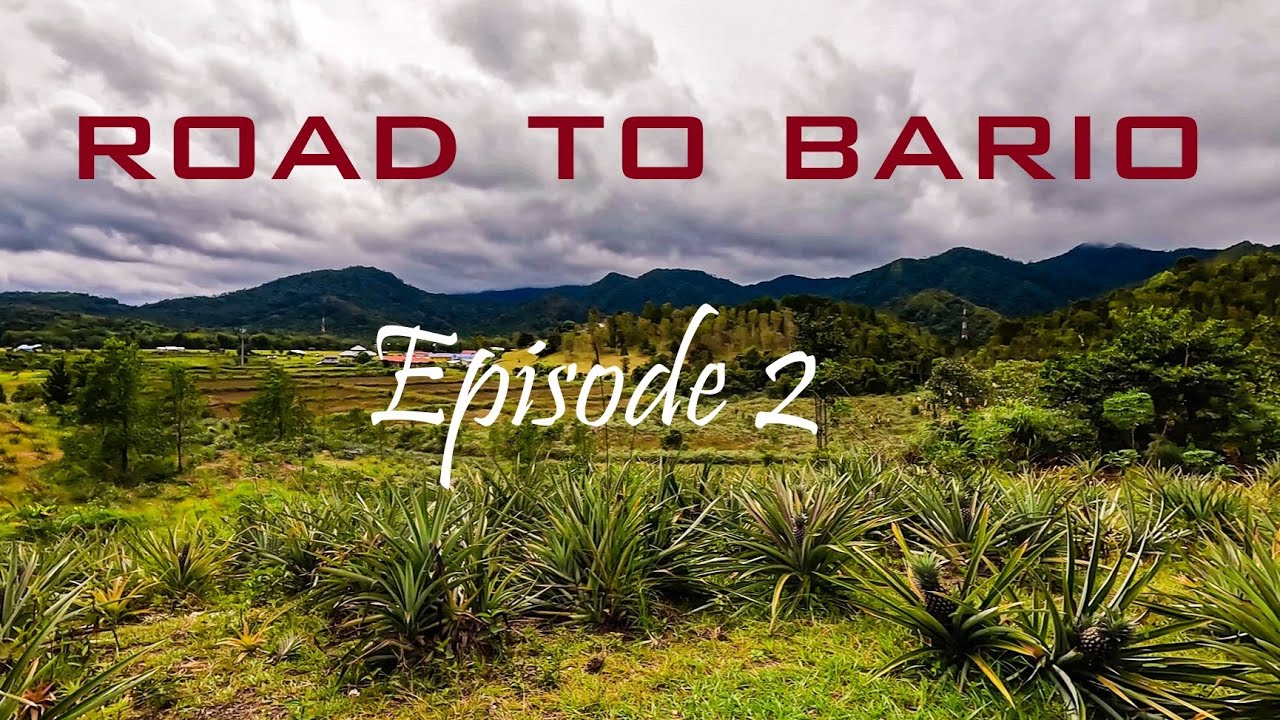 Road To Bario | Episode 2 - Jalan2 ke Kebun Nenas - YouTube