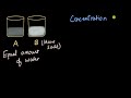 Understanding Concentration Through Salt Water Solutions