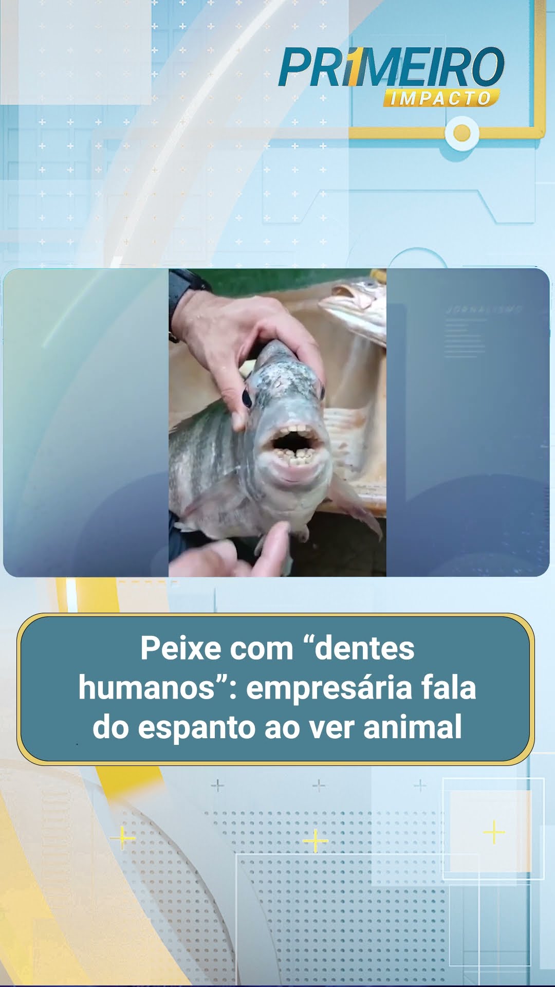 Peixe com “dentes humanos”: empresária fala do espanto ao ver animal