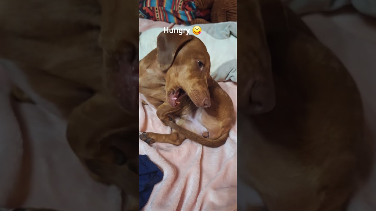 Strange Captures of Dottie Mae