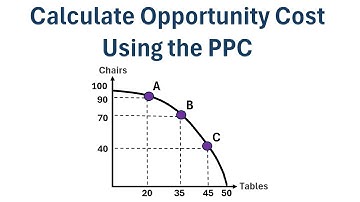 How to Calculate Opportunity Cost Using PPC