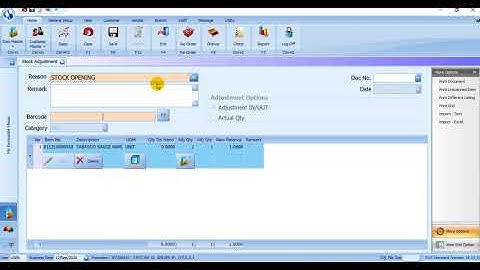 Stock Adjustment - IRS POS (BM)