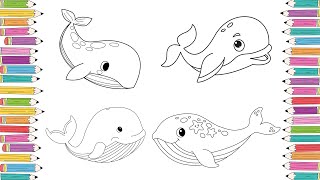 How to Draw Whale for Kids | Whale Coloring Page for Kids
