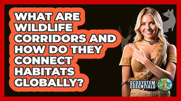 What Are Wildlife Corridors And How Do They Connect Habitats Globally? - Ecosystem Essentials