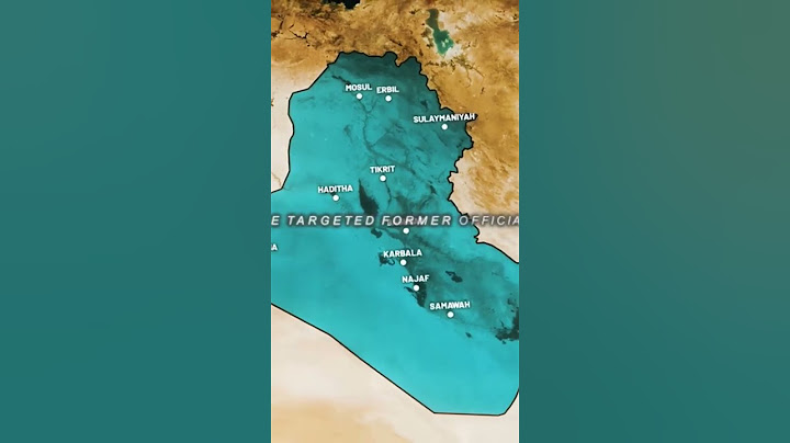 How the US found Saddam Hussein Part 03. #usarmedforces #stories #documentary #iraq