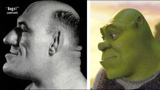 The Real Shrek