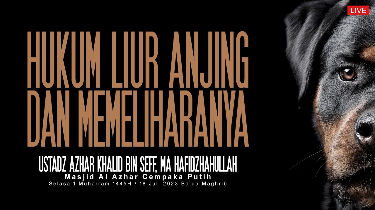 Ustadz Azhar Khalid bin Seff - Hukum Liur Anjing dan Memeliharanya ...