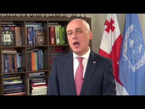 დავით ზალკალიანის და სერგეი ლავროვის შეხვედრა