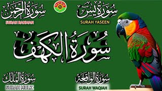 Ep 236 surah kahf  surah yaseen  surah rahman  surah waqiah  surah mulk @IQRAALQURANKARIM ✅