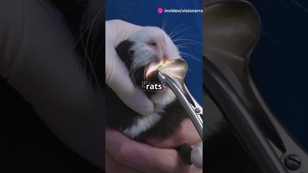 #BioTechBreakthrough