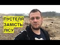 Пустеля замість лісу. Наслідки незаконного видобутку бурштину на Волині