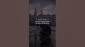 " ولا تهنوا ولا تحزنوا " تلاوة هادئة لفضيلة الشيخ سلمان العتيبي 💙