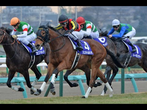 競馬非売品 ジェンティルドンナ 貴重 ZIPPO - 新品 未使用 希少 ジェンティルドンナ 競馬 ZIPPOの通販
