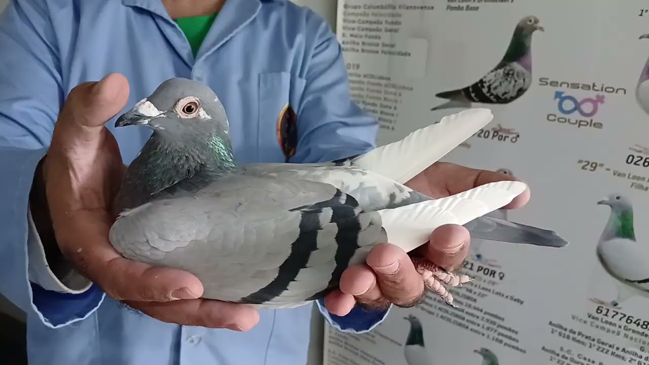 10 de dezembro de 2025