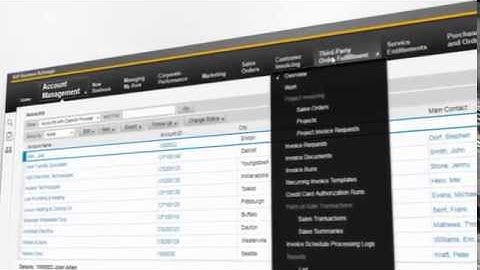 The Beauty of SAP Business ByDesign
