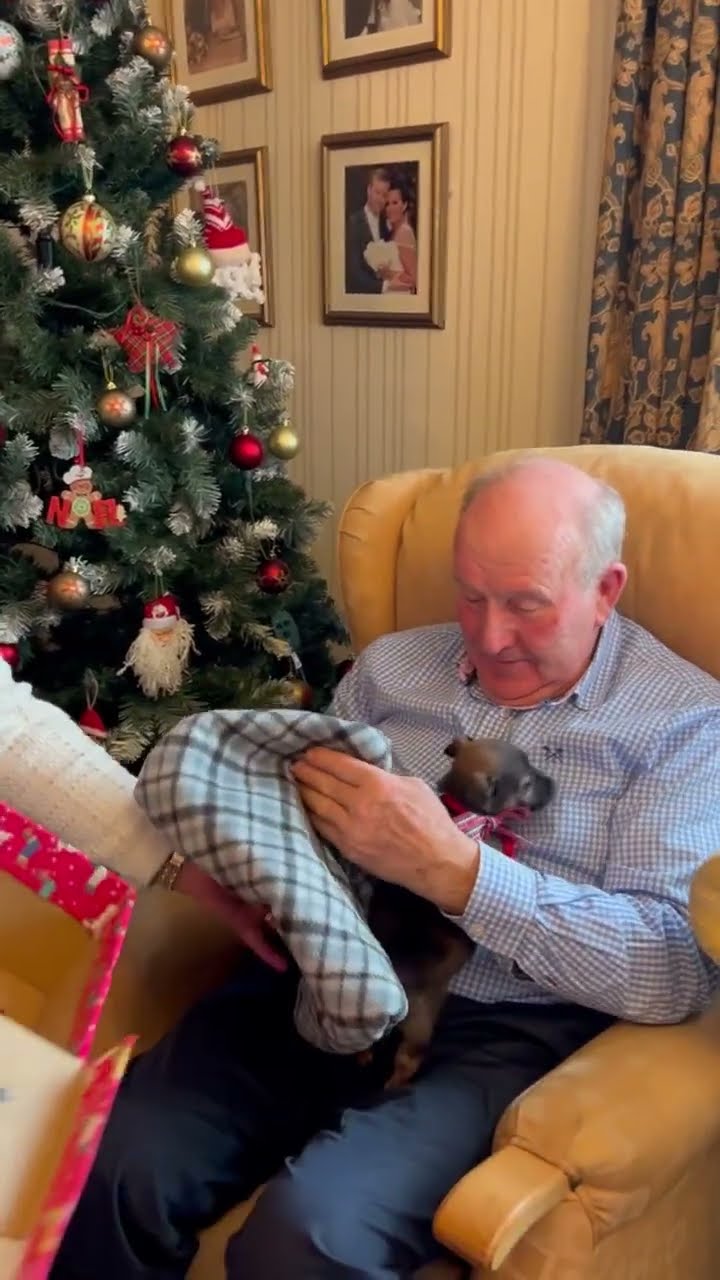 Grandpa Surprised With Puppy For Christmas || ViralHog