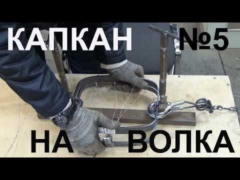 Капканы на волка своими руками