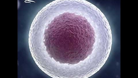 What is Aging? - Epigenetic Alterations