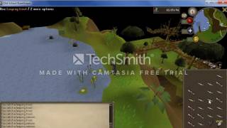 osrs mousekeys problem