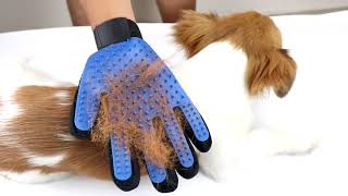 Magic Touch Grooming Gloves for Pets - Digital Safe Home