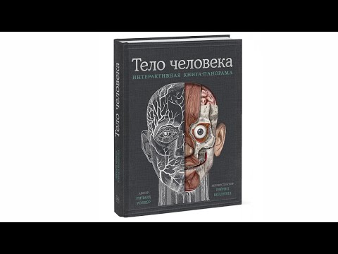 Ричард Уолкер: Тело человека. Интерактивная книга-панорама POP UP конструкции