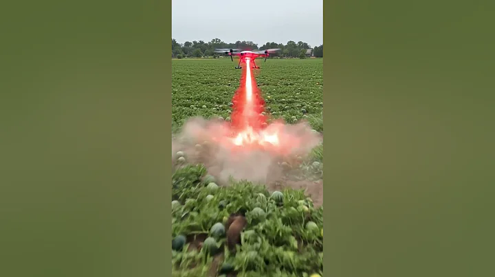 Drone to kill harmful pigs #villagelife#smartfarming #rurallife #farmingtraditions#farming101