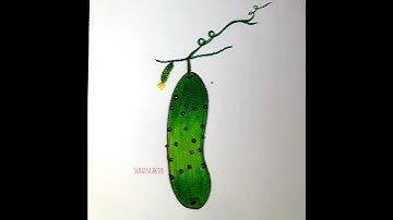 How to draw cucumber #foryou #subscribemychannel #cucumber #art #viralshort #ytshorts