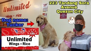 Unlimited Chicken Wings sa 223 Tandang Sora Avenue Quezon City Dog name Tucker