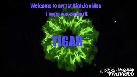 My 1st Blob.io video!
