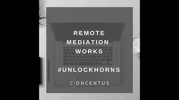 The logistics and practicalities of remote mediation #unlockhorns