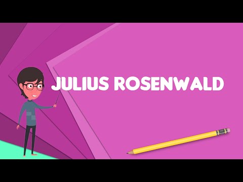 What is Julius Rosenwald?, Explain Julius Rosenwald, Define Julius Rosenwald