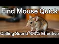 Find Your Lost Mouse Fast Real Mouse Calling Sounds
