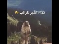 لما انا حسران