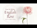 How to make crepe paper english roses  scepterd isle  colour without pan pastel