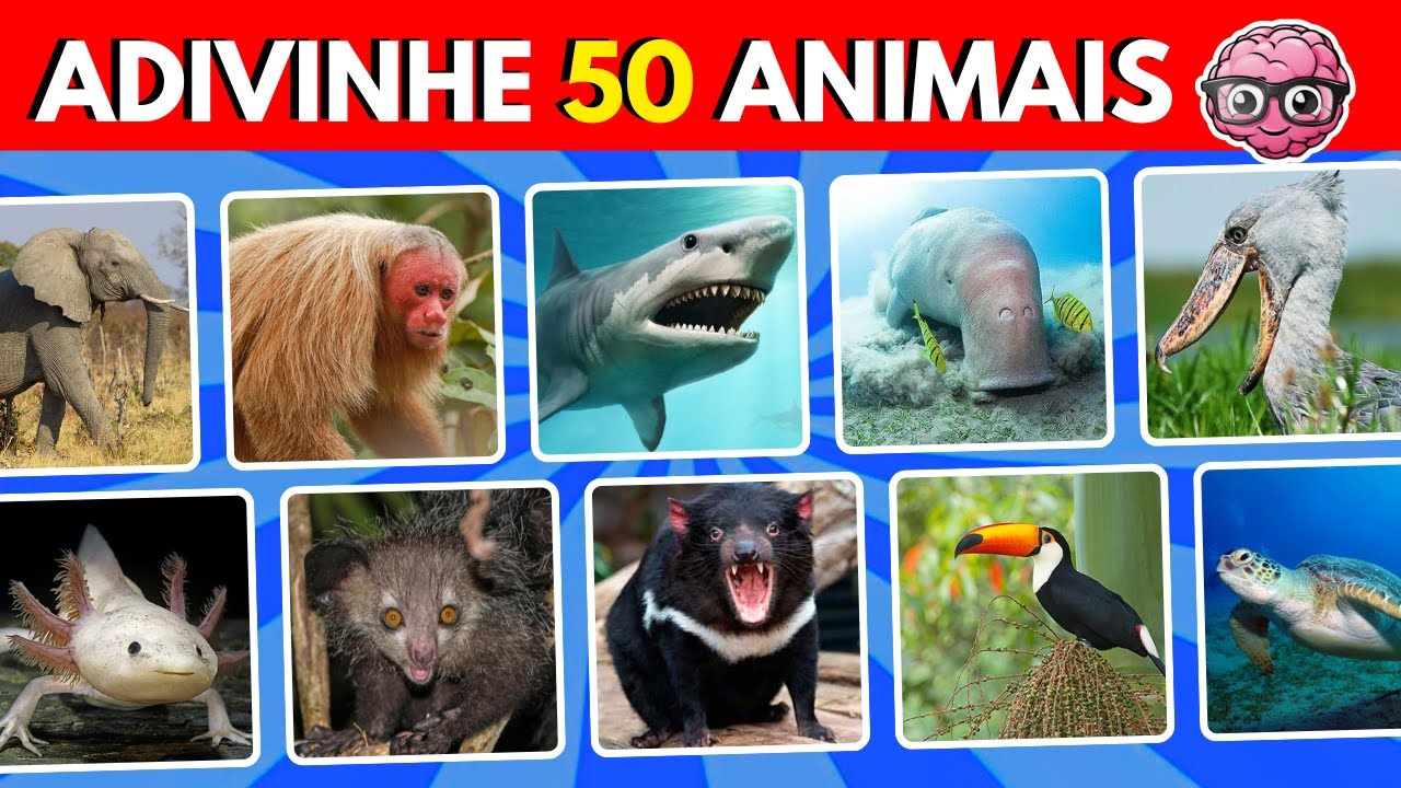 Perguntas e respostas sobre animais🐾. #quiz #animais 