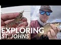 How to fish new water? Fishing Jacksonville, FL. St. Johns River MULTI SPECIES