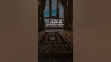 سورة الإسراء | الآية 4-8 القارئ ياسر الدوسري