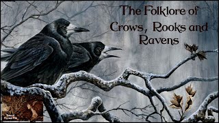 The Folklore of Crows, Rooks and Ravens , ASMR Bird Folklore and Mythology