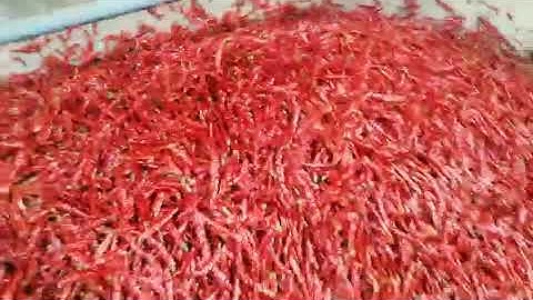 chili color sorter, rejecting chili with stems