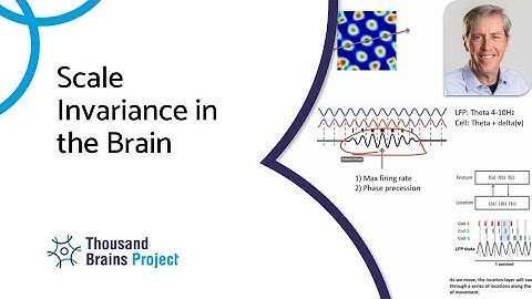 2022/03 - Scale Invariance in the Brain