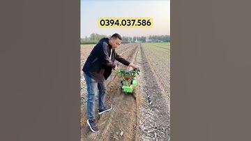 Máy xới đất, cắt cỏ trục băm động cơ dầu 173F. #thietbi365 #mayxoidat #maycatco