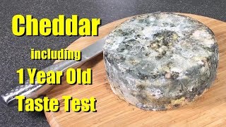 How to make Cheddar Cheese with all Updates and Taste Tests