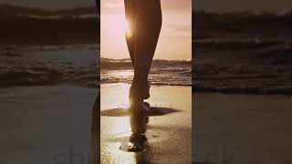 SMS Broadcast|add telegram:MY911SMS
