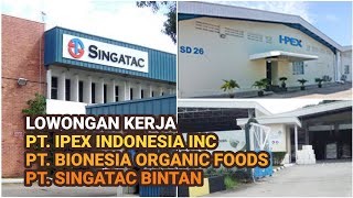Loker PT IPEX Indonesia Inc // PT Bionesia Organic Foods // PT Singatac Bintan