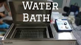 Water bath in Histopathology (biopsy)